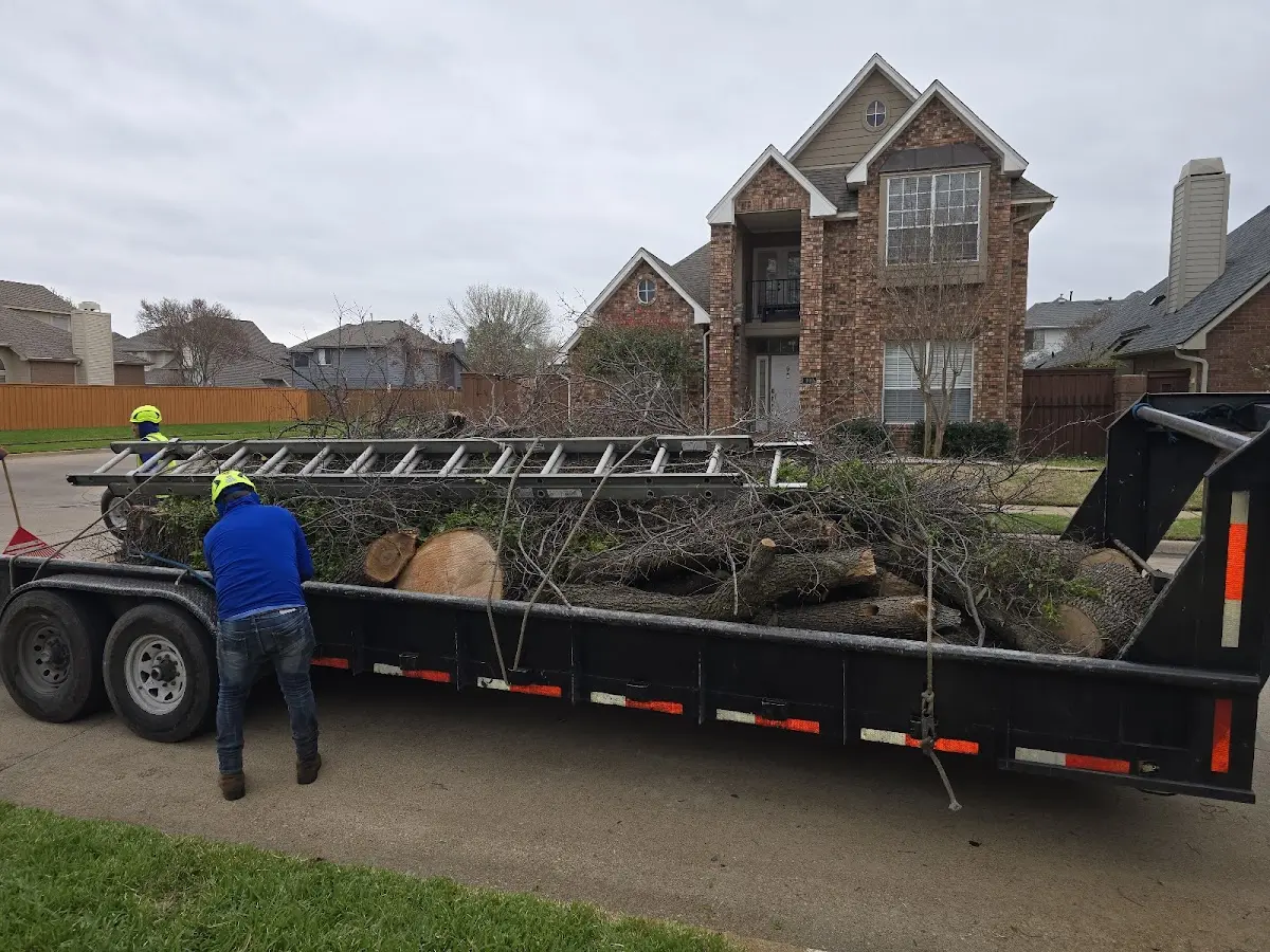 Expert Crown Reduction with proper safety equipment in Palatine Bridge